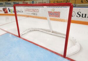 Hockey Goal Net with Skirt from Duluth Sports Nets