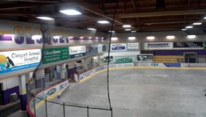 hockey barrier net Duluth Sport Nets